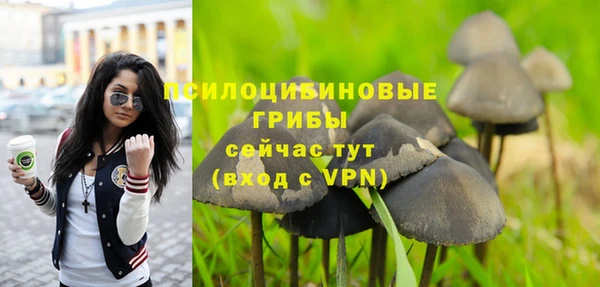 твердый Алексин