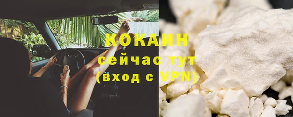 твердый Алексин