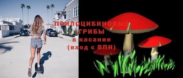 ALPHA-PVP Алексеевка